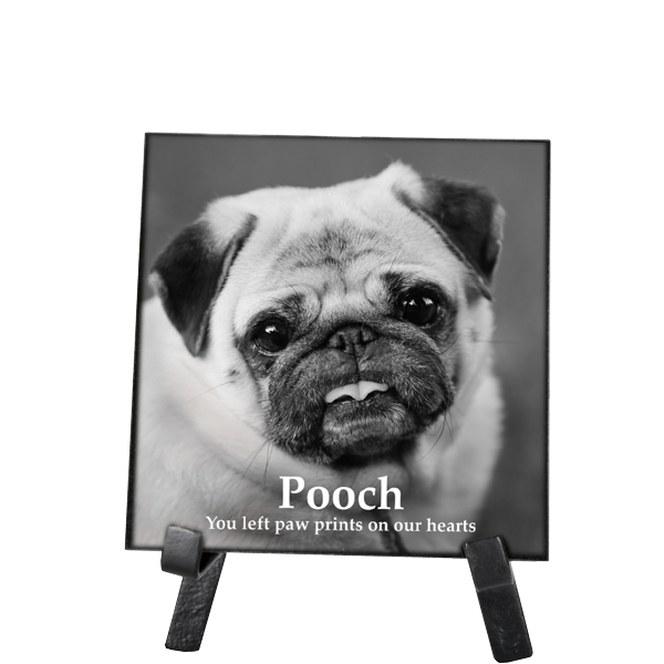 Granite Square Pet Plaque with Easel — 6x6