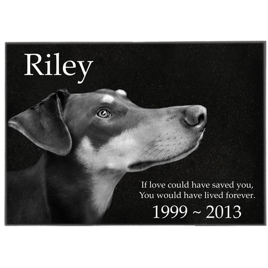 Granite Rectangle Pet Plaque with Easel